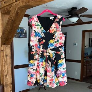 Monteau Floral Black Skater Dress 1X